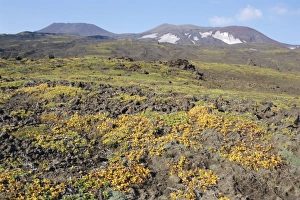 Russian Tundra Landscape Drucke: Gorely volcano