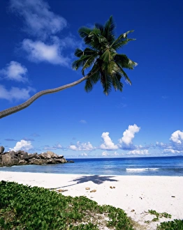 Seychelles Travel Destination Drucke: Grand Anse