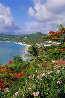 Grenada Beaches Drucke: Grand Anse Beach