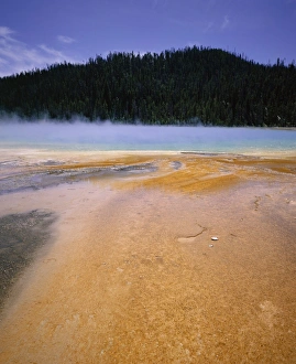 Midway Geyser Basin Drucke: Grand Prismatic Spring