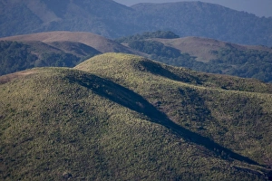 Kerala Travel Destination Drucke: Grasslands, Mangala Devi Peak, Periyar, Kerala, India, Asia