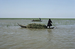 Middle East Geography Drucke: Grindly, Iraq