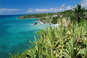 Caribbean Beach Destinations Drucke: Guadeloupe