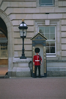 Buckingham Palace Guard Drucke: Guard and sentry box