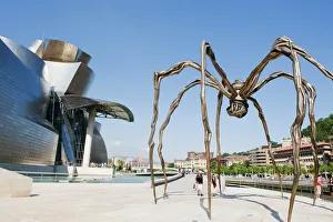 Der Guggenheim wurde vom Architekten Frank Gehry entworfen und die riesige Spinnschauung von der Künstlerin Louise Bourgeois