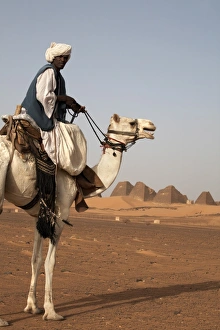 Meroe Pyramids Drucke: A guide and camel stand in front of the pyramids of Meroe