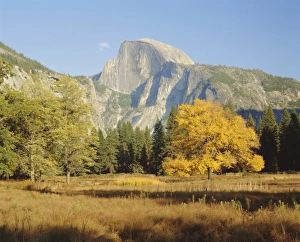 Peaceful Nature Scenes Drucke: Half Dome in the autumn