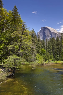 California Landscape Photography Drucke: Half Dome granite monolith, Merced River, Yosemite Valley, Yosemite National Park