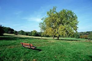 Drucke von Hampstead Heath in London im Vereinigten Königreich in Europa Hampstead Heath Drucke: Hampstead Heath in London im Vereinigten Königreich in Europa