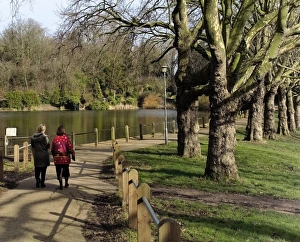 Hampstead Heath London Drucke: Hampstead ponds, Hampstead Heath, London, England, United Kingdom, Europe