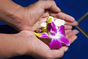 Southeast Asia Nature Images Drucke: Hands and flowers