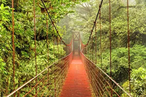 Cloud Forest Costa Rica Drucke: Hanging bridge in a cloud forest