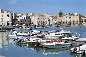 Puglia Italy Drucke: The harbour