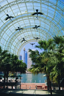 Sydney Tourist Attractions Drucke: Harbourside Mall, Darling Harbour, Sydney, New South Wales, Australia