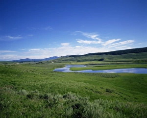 Horizontal Landscape Photography Tips Drucke: The Hayden Valley