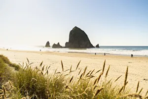 Haystack Rock Oregon Drucke: Haystack Rock and The Needles, with Gynerium spikes in the foreground, Cannon Beach