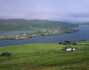 Shetland Islands UK Drucke: Hellister in Weisdale Voe
