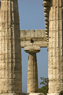 Drucke von Heiligtum Hera (Basilika), Paestum, Weltkulturerbe der UNESCO im Welterbe von Italien in Kampanien Verwandte Bilder Drucke: Heiligtum Hera (Basilika)