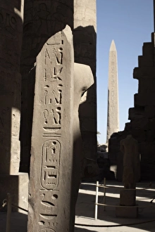 Luxor Temple Columns Drucke: Hieroglyphics on columns within the Temples of Karnak