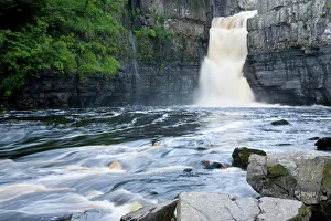 Grafschaft Durham Drucke: Hochfluss ist die größte Wasserfall in England am Fluss Tees nahe der Dörfer von Middleton-in-Teesdale im Grafschaften