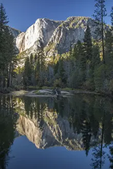Merced River Reflections Drucke: High granite cliffs reflected in the tranquil Merced River, autumn, Yosemite Village