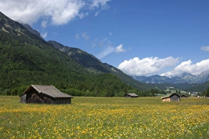 Austrian Countryside Images Drucke: High summer pasture, Sonnenterrase area, Austria, Europe