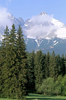 Drucke von Hohe Tatragerüge aus der Tatran-Lomnicka in Slowakei, Europa Slowakei Drucke: Hohe Tatrergebirge von der Tatraniska Lomnica