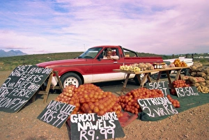 Colorful Travel Destinations Drucke: Highway fruit vendor