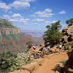 Arizona Hiking Trails Drucke: Hikers return from Canyon base