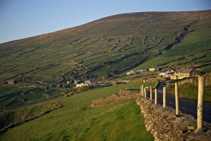 Contemporary Irish Landscapes Drucke: Hillside divided by stone walls