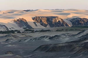 African Wilderness Adventure Drucke: Hoarusib, Skeleton Coast