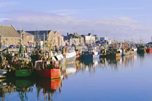 Hafen von Howth