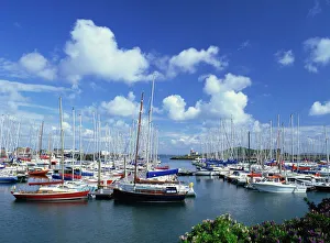 Das Howth Marina und Leuchtturm