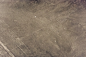 Drucke von Schnepfenvogel, Linien und Geoglyphe von Nazca, Weltkulturerbe der UNESCO in Peru im südlichen Amerika Peru Kulturerbestätten Drucke: Hummelvogel, Linien und Geoglyphe von Nazca, Weltkulturerbe der UNESCO in Peru.
