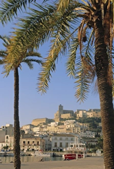European Harbour View Drucke: Ibiza Town