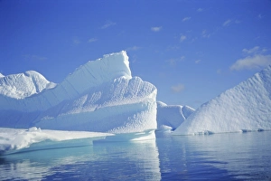 Glacier Calving Images Drucke: Icebergs, Antarctica
