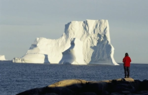 Eisberge im Diskobucht