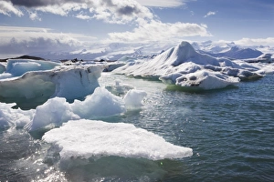 Drucke von Eisberge im eisigen See von Jökullsárlón, Island, Arktische und Antarktische Regionen Island Drucke: Eisberge im eisigen See von Jökullsárlón, Island, Polarkreise
