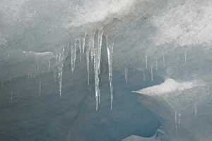 Ice Formations In Nature Drucke: Icicles on the face of the Athabasca Glacier