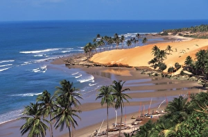 Brazilian Coastline Drucke: image_33