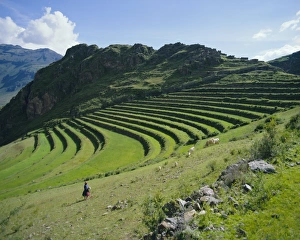 Historical Landmark Photography Drucke: Inca terrace still in use