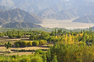Indian Himalayan Region Drucke: Indus Valley