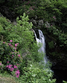 Loch Lomond Scenic Views Drucke: Inversnaid Waterfall