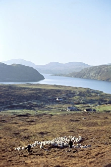 Insel von Harris