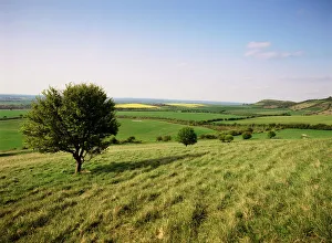 Buckinghamshire Drucke: Ivinghöher Beacoun vom Ridgeway Pfad, Chiltern-Hügel, Buckinghamshire