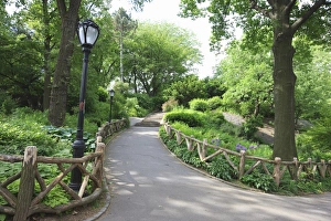 Central Park Manhattan Drucke: _J5R6334-2