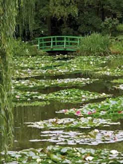Japanischer Brücke und Lilien-Teich im Garten des Impressionistenmalers Claude Monet