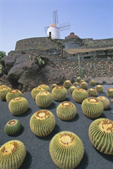 Historical Landmark In Europe Drucke: Jardin de Cactus