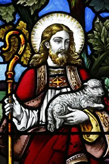 Kirche Drucke: Jesu der Gute Hirte, 19.Jh., Verklärung im St.