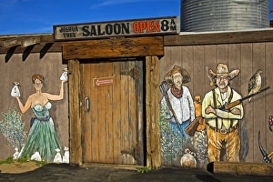 North America Photography Tours Drucke: Joshua Tree Saloon